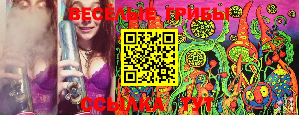 Тверь  Псилоцибиновые грибы Psilocybine cubensis  Вход с VPN  Псилоцибиновые грибы Psilocybine cubensis 